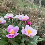 Casetta Genneria Апартаменты *