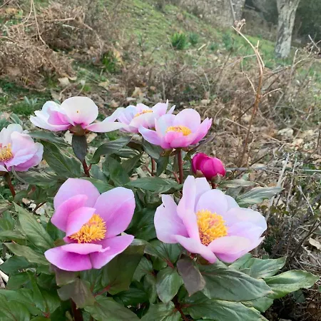 Casetta Genneria 아파트 *