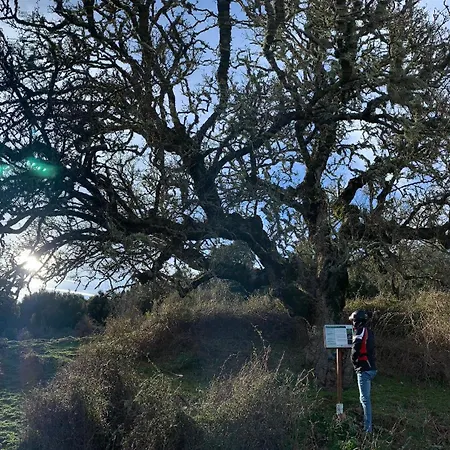 Casetta Genneria * Seùlo