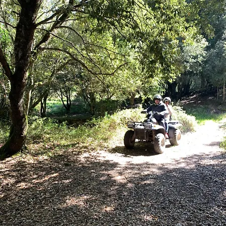 아파트 Casetta Genneria *