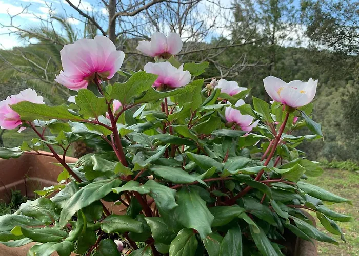 Apartment Casetta Genneria *