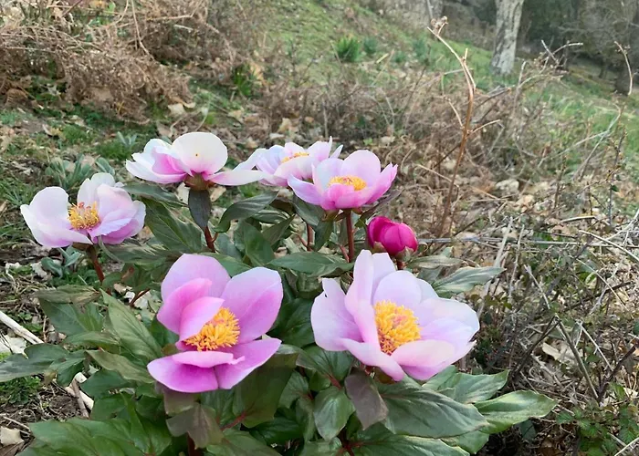 Casetta Genneria Apartment *