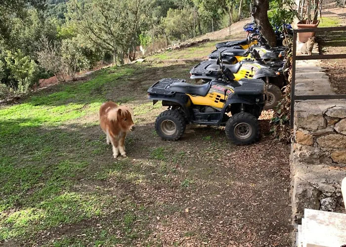 Apartment Casetta Genneria